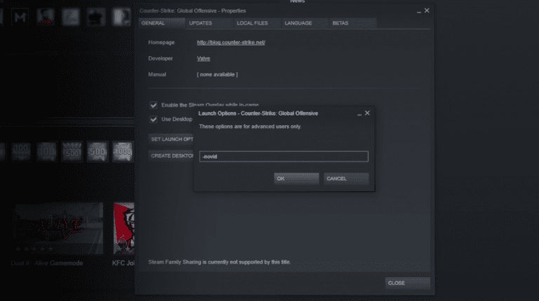 cs go nosteam launch options